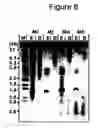 Fig. 07 - NEMATODE RESISTANT TRANSGENIC PLANTS