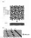 Fig. 06 - Optical electric field enhancement element and probe using the same