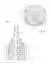Fig. 07 - Dental cleaning device