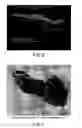 Fig. 07 - In-situ bwr and pwr CRUD flake analysis method and tool
