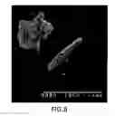 Fig. 08 - In-situ bwr and pwr CRUD flake analysis method and tool
