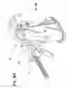 Fig. 07 - Slide catch-ejector assembly for firearm