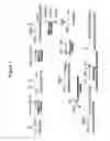 Fig. 02 - Jet fuel compositions and methods of making and using same