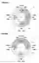 Fig. 07 - Detection method for forces acting on tire and pneumatic tire used therein