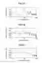 Fig. 06 - Drum pad and manufacturing method thereof