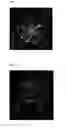 Fig. 02 - Method of artificially rearing lobster larvae and rearing apparatus