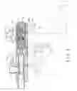 Fig. 04 - Paintball gun having internal pressure regulator