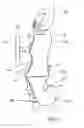 Fig. 08 - Electronically adjusted bowsight