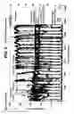 Fig. 09 - STEAM PRODUCTION