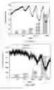 Fig. 09 - Detection of nitric oxide