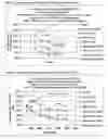 Fig. 02 - Cationic polysaccharide, its preparation and use