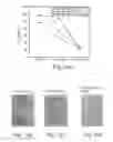 Fig. 09 - Promoters Exhibiting Endothelial Cell Specificity and Methods of Using Same for Regulation of Angiogenesis