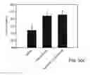 Fig. 45 - Promoters Exhibiting Endothelial Cell Specificity and Methods of Using Same for Regulation of Angiogenesis