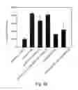 Fig. 49 - Promoters Exhibiting Endothelial Cell Specificity and Methods of Using Same for Regulation of Angiogenesis
