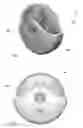 Fig. 02 - Semi-circular liquid dispenser with a rotatable casing