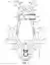 Fig. 02 - Structural support member for a harness for breathing apparatus