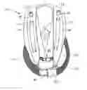 Fig. 01 - Personal carrier harness