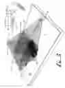 Fig. 06 - Imaging scanner-scale with low vertical profile