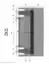 Fig. 12 - OPTICAL SEMICONDUCTOR DEVICE