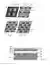 Fig. 02 - Colour Optoelectronic Device