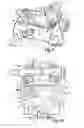 Fig. 06 - Carburetor for an internal combustion engine