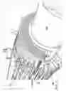 Fig. 02 - Generator coil cooling baffles