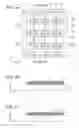 Fig. 02 - LIGHT-EMITTING SUBSTRATE INCLUDING LIGHT-EMITTING MEMBERS AND IMAGE DISPLAY APPARATUS INCLUDING THE LIGHT-EMITTING SUBSTRATE