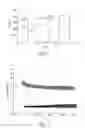 Fig. 02 - Method for determining the heating characteristic of a glow plug