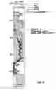 Fig. 09 - Determining formation properties while drilling