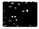 Fig. 02 - Underwater detection device