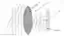 Fig. 01 - Waveguide Lens Antenna