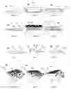 Fig. 02 - PRESENTATION SYSTEM