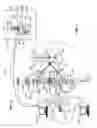 Fig. 02 - Microscopic imaging techniques