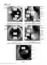 Fig. 40 - Image processing apparatus, image division program and image synthesising method