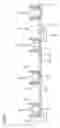 Fig. 46 - ILLUMINATION DEVICE, DISPLAY DEVICE, AND TELEVISION RECEIVER APPARATUS