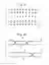 Fig. 19 - Liquid crystal display apparatus having alignment control for brightness and response