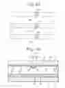 Fig. 31 - Liquid crystal display apparatus having alignment control for brightness and response