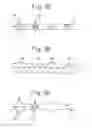 Fig. 65 - Liquid crystal display apparatus having alignment control for brightness and response