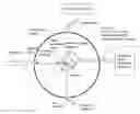 Fig. 01 - Determining biological tissue optical properties via integrating sphere spatial measurements