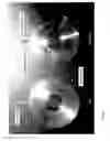 Fig. 07 - Optical cytometry