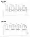 Fig. 09 - SEMICONDUCTOR INTEGRATED OPTICAL DEVICE AND METHOD OF MAKING THE SAME