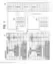 Fig. 08 - Information processing apparatus using a plurality of file systems