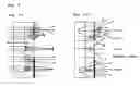 Fig. 06 - Optical sheet