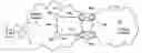 Fig. 01 - Dual homed E-spring protection for network domain interworking