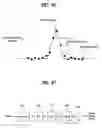 Fig. 45 - Digital broadcasting system and data processing method