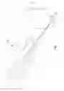 Fig. 06 - Two dimensional small angle X-Ray scattering camera