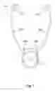 Fig. 02 - UNDER-CHIN HEADPHONE SET