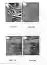Fig. 08 - Reducing noise in 3D seismic data while preserving structural details