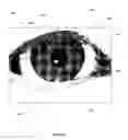 Fig. 03 - Iris data extraction