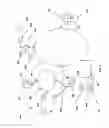 Fig. 07 - System and method for capturing, associating and distributing photographic images